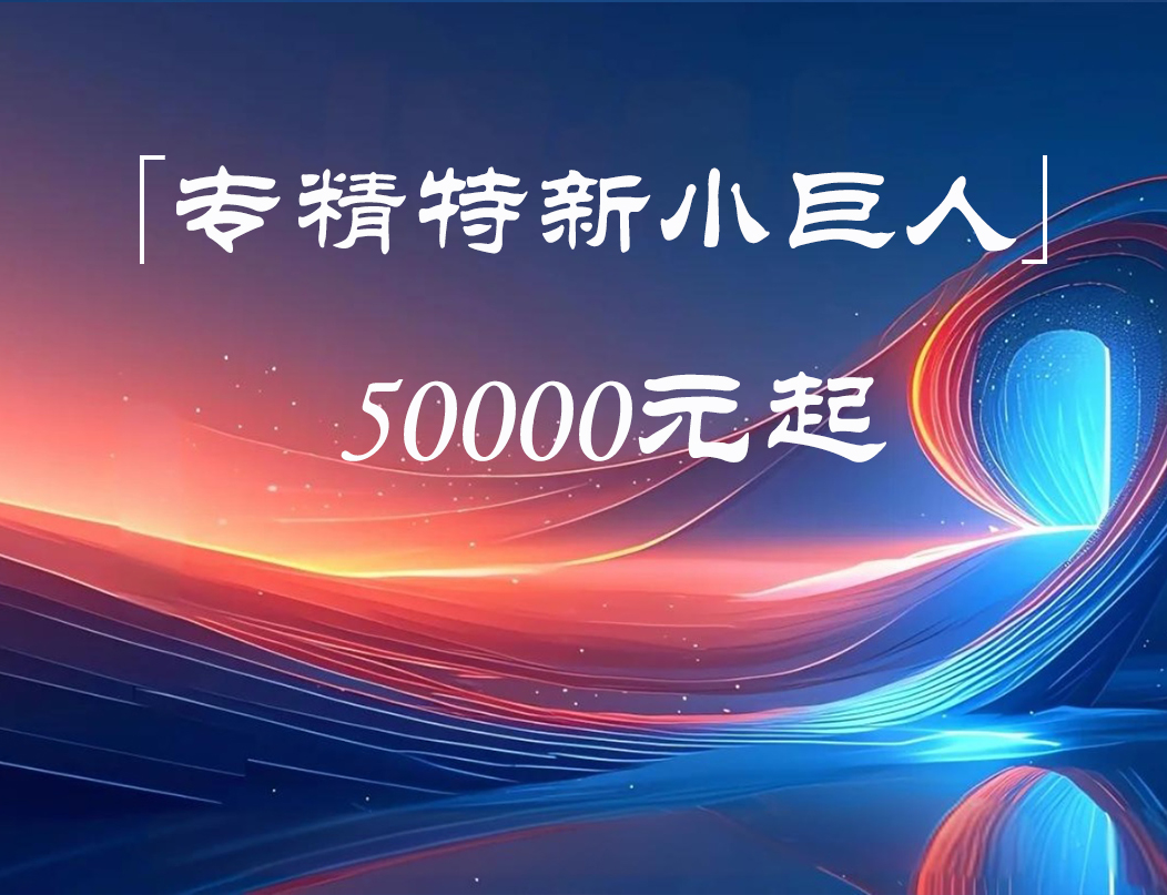 专精特新“小巨人”